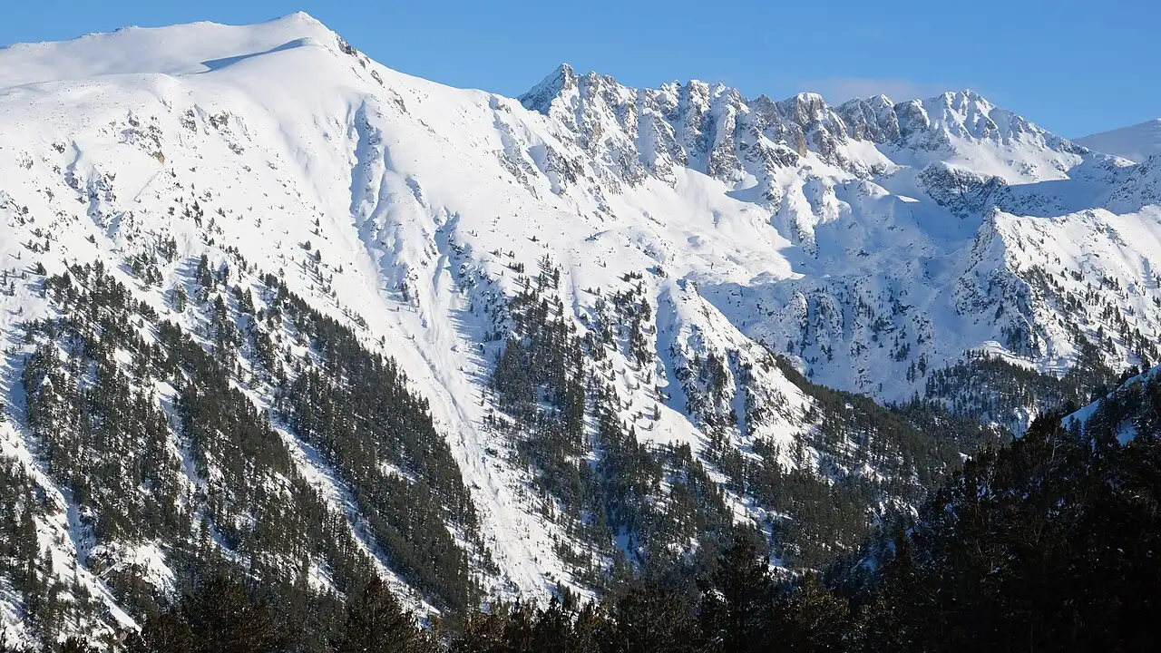Skiers practising on a wide groomed nursery slope at Bansko with pine forest and mountain ridges behind