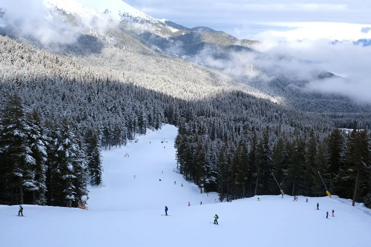 A wide groomed piste running down through snowy pine forest at Bansko with skiers descending and mountains behind