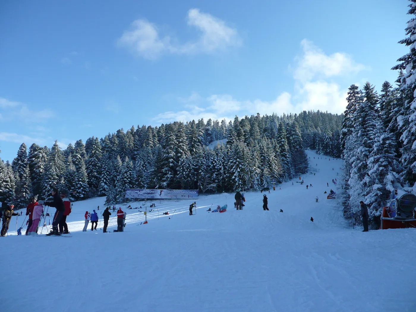 The wide beginner slope at Borovets under snow, skiers and a ski-school banner at the base with a run rising through snow-covered pine forest behind