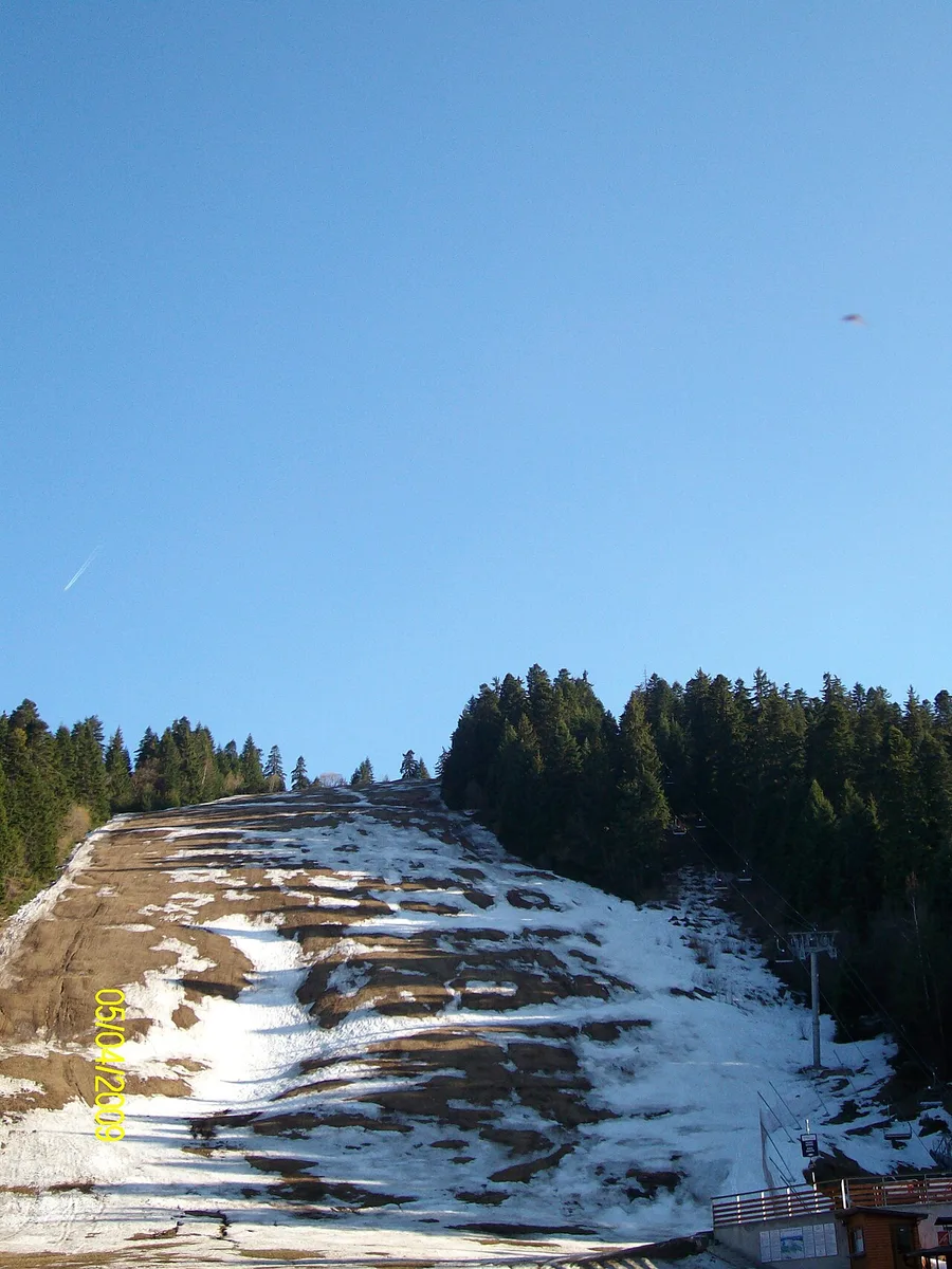 A ski piste at Borovets running down through snow-dusted pine forest with a chairlift line climbing the slope on the right