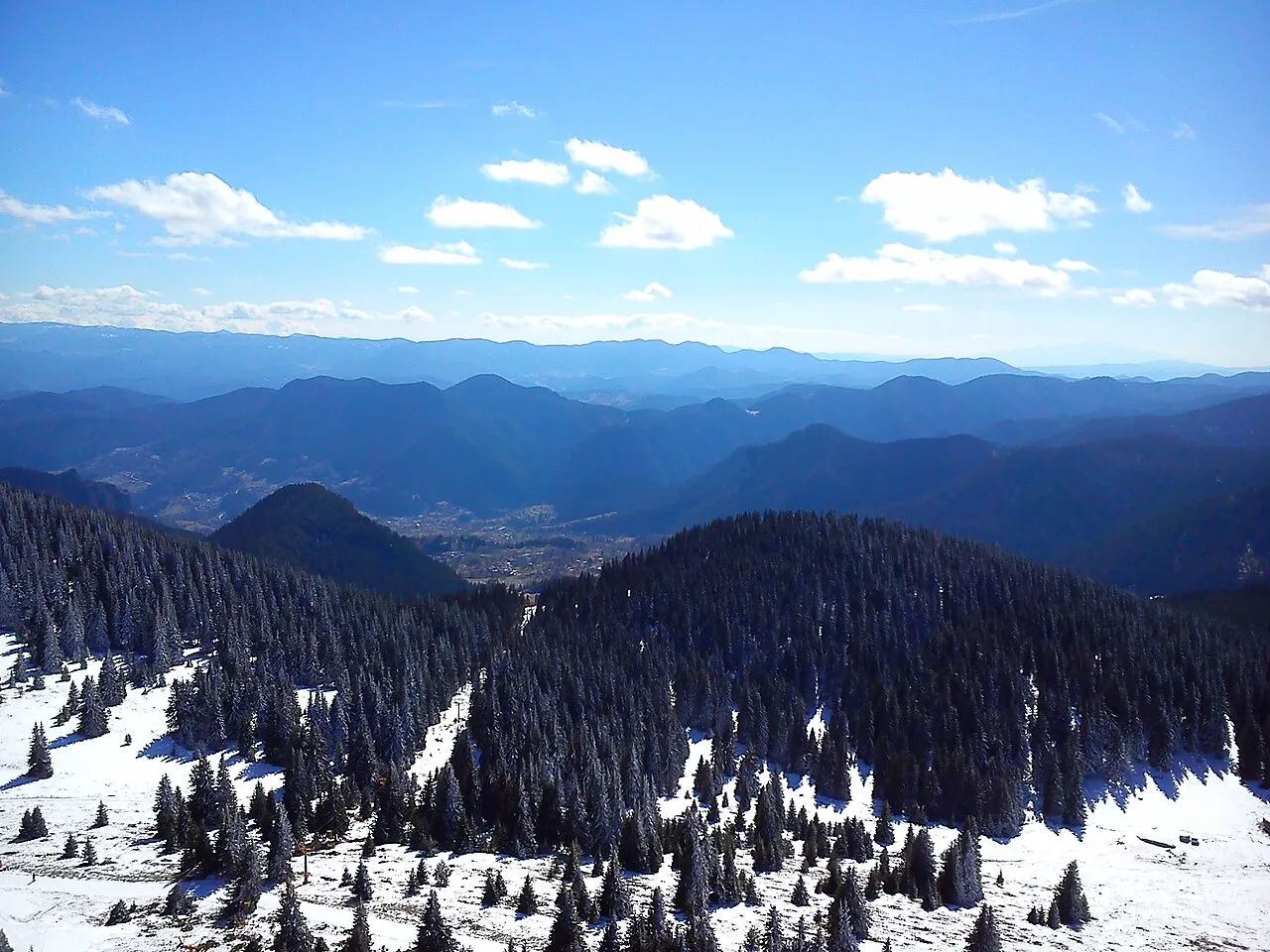 Panoramic winter view from Snezhanka peak over snow-dusted spruce forest and the rolling blue ridges of the Rhodope mountains