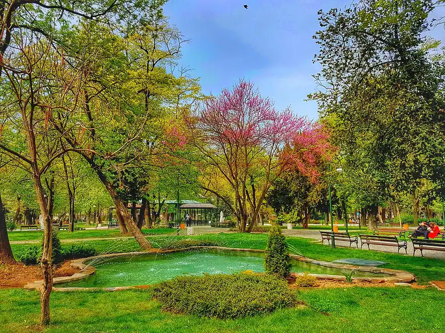 A city park in Plovdiv in spring, with a fountain, a pink flowering tree and people sitting on a bench