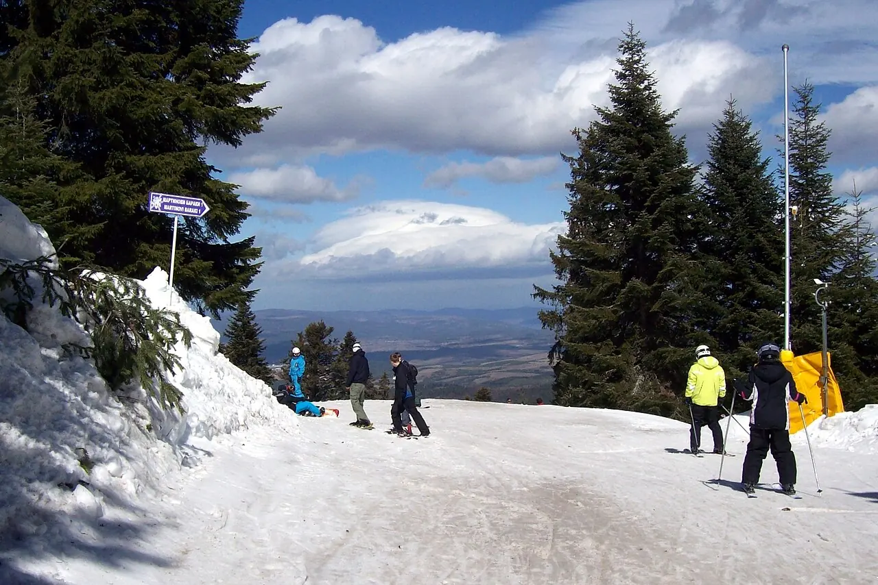 Snowy mountain slope above Borovets with ski runs through pine trees
