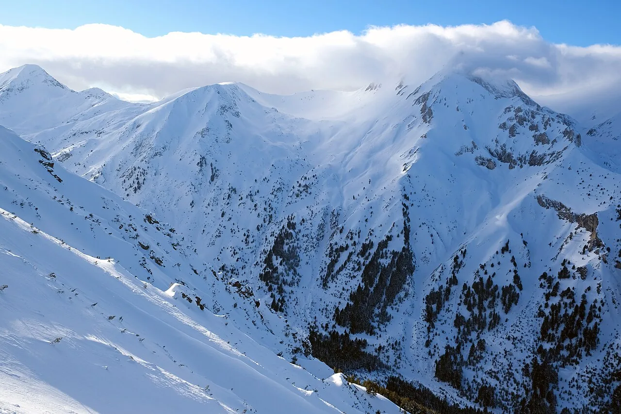 Rows of rental skis and poles lined up beside a snowy Bansko piste