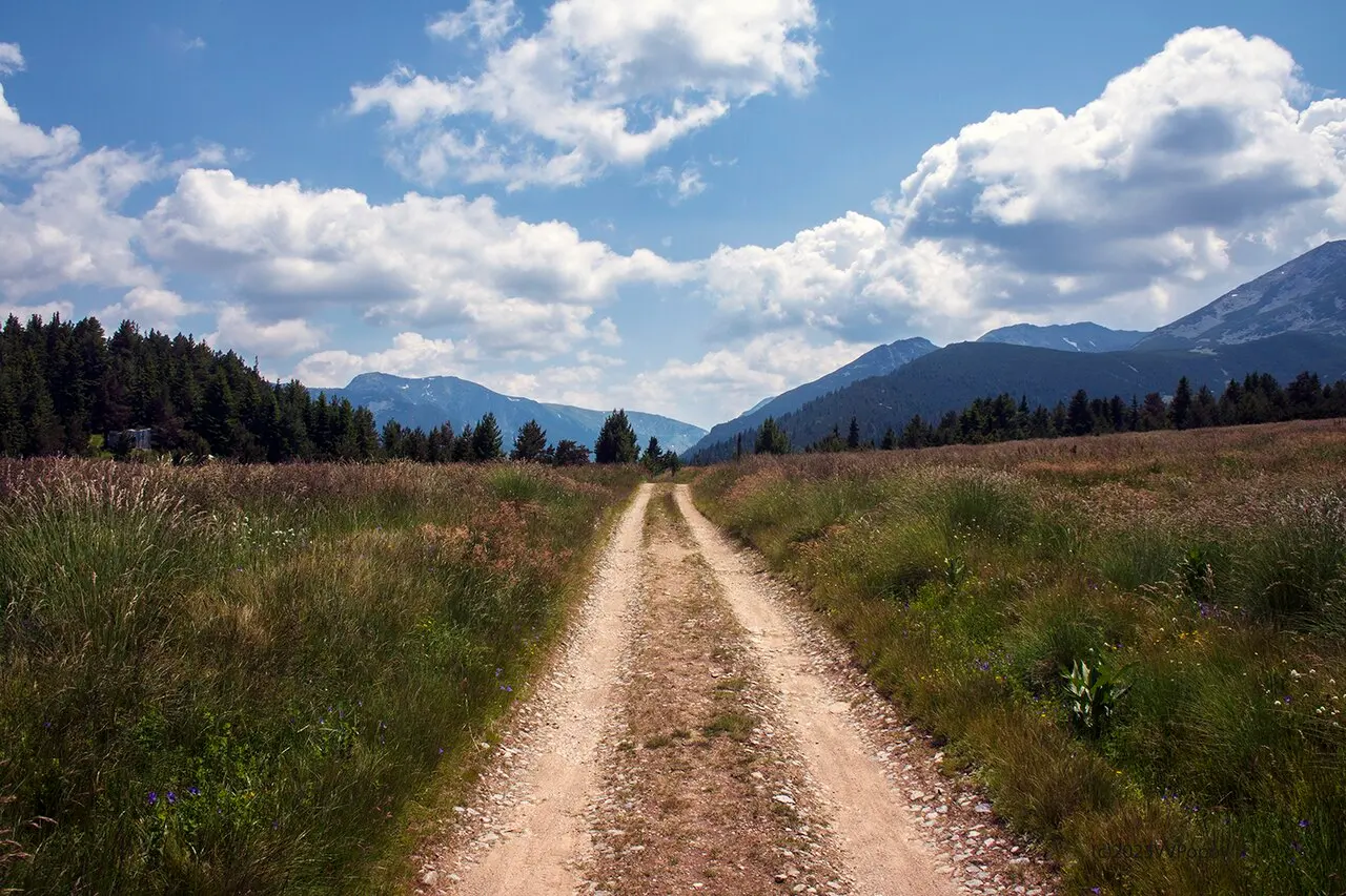A quiet rural road in Bulgaria winding between green fields and low hills