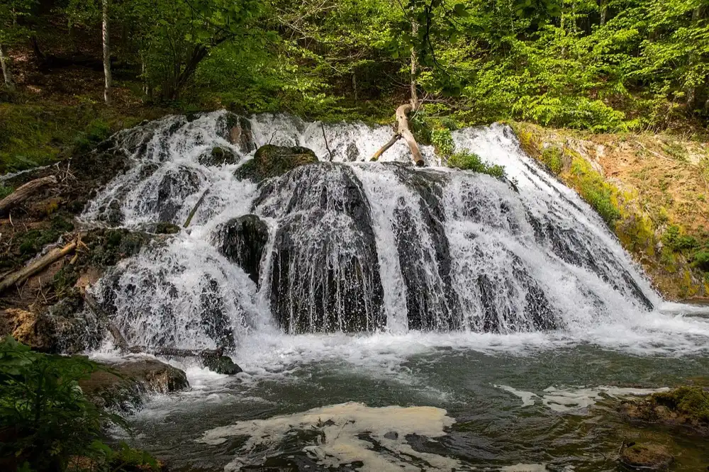 Dokuzak waterfall cascading over mossy rock into a green pool in Strandzha