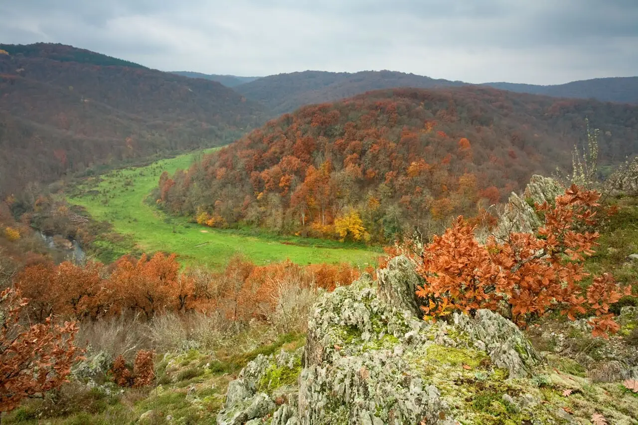 Autumn forest along a wide meander of the Veleka river in Strandzha Nature Park