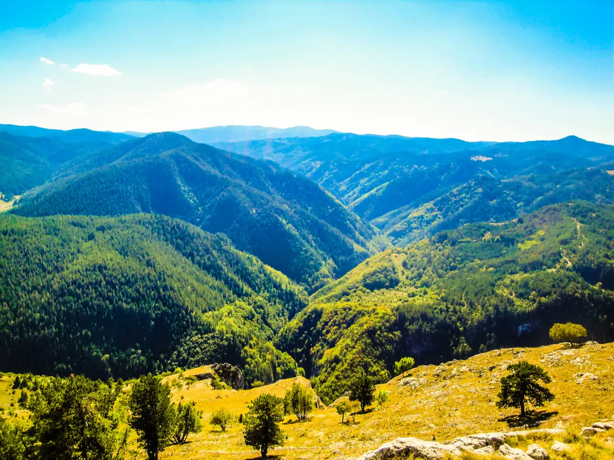 View from the Eagle s Eye platform over forested Rhodope ridges and the Buynovo gorge far below