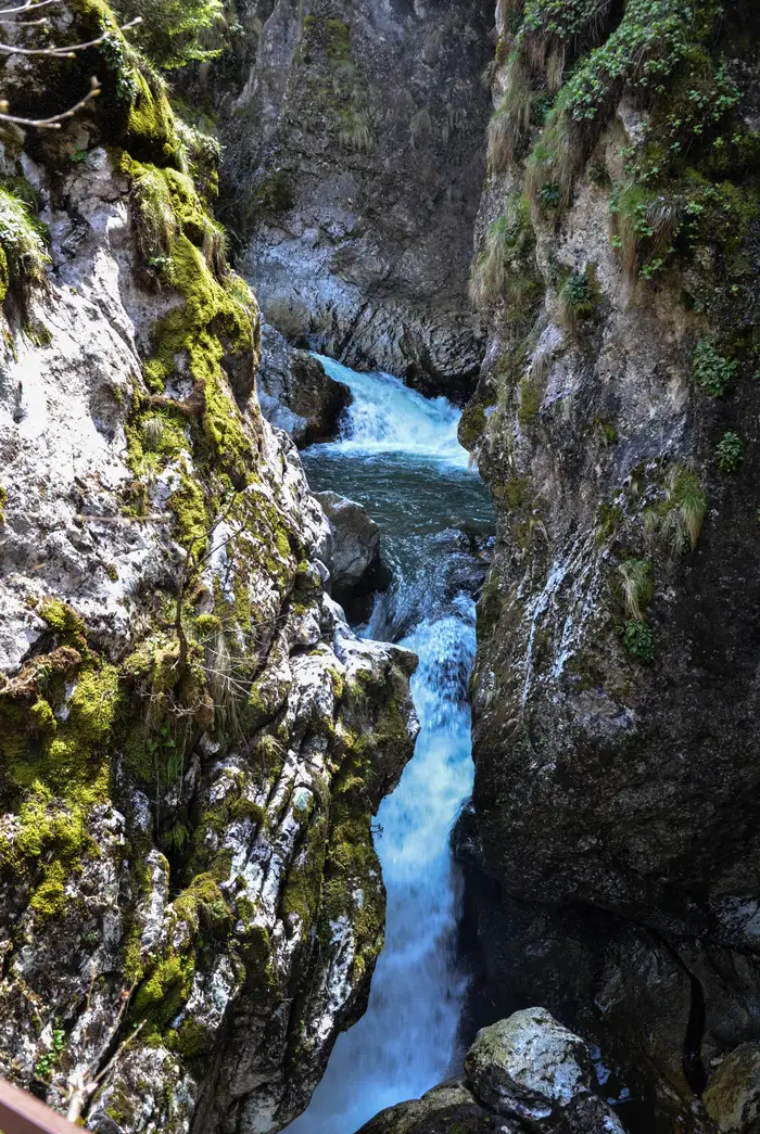 The Trigrad river running fast between mossy rock walls below the entrance to Devil s Throat cave
