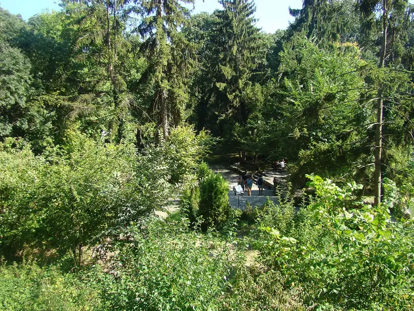 A forest trail in the Golden Sands Nature Park, tall pines and dense green woodland on a steep slope with a few walkers on a path below