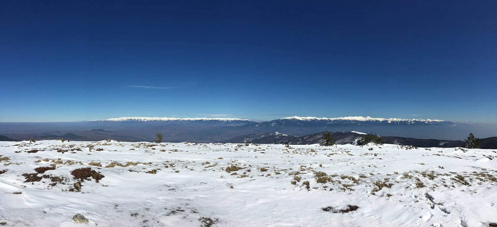 A wide winter panorama of the snow-capped Rila and Pirin ranges seen from a high ridge, a foreground of snow-dusted alpine grassland under a deep blue sky