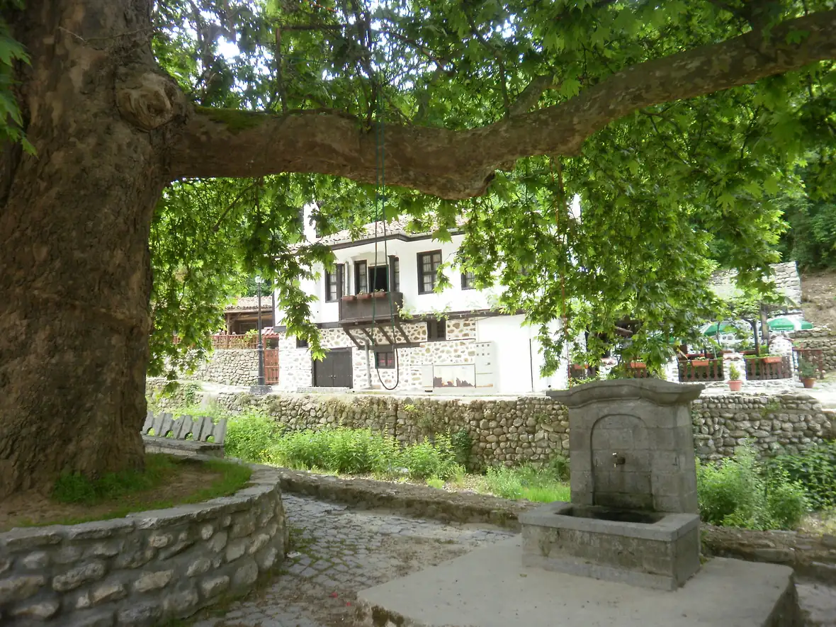 A white Revival house in Melnik behind an old plane tree, with a stone drinking fountain and cobbled path in front