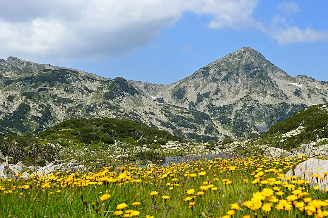 Hikers on a summer path through green Pirin meadows with rocky peaks ahead