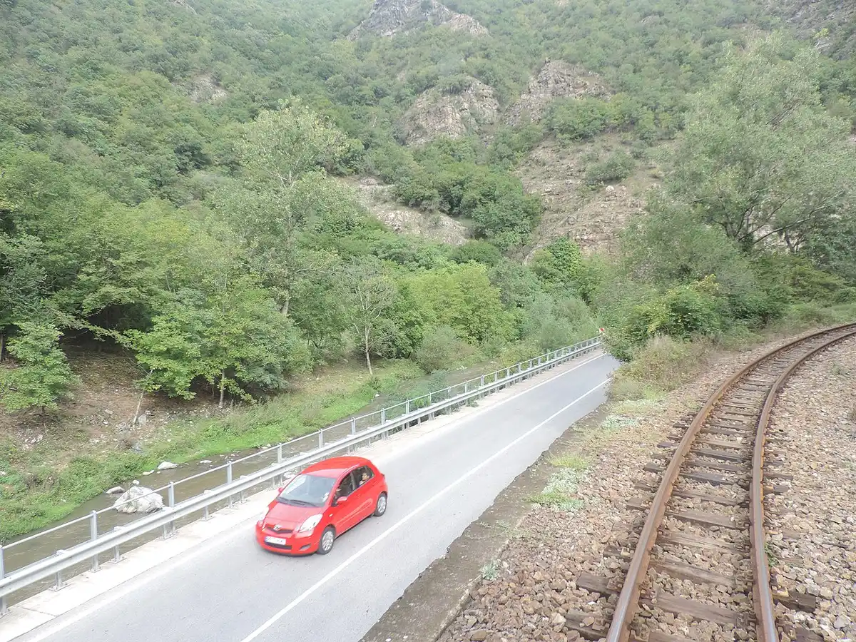 The narrow-gauge track running beside a mountain road through a wooded Rhodope gorge