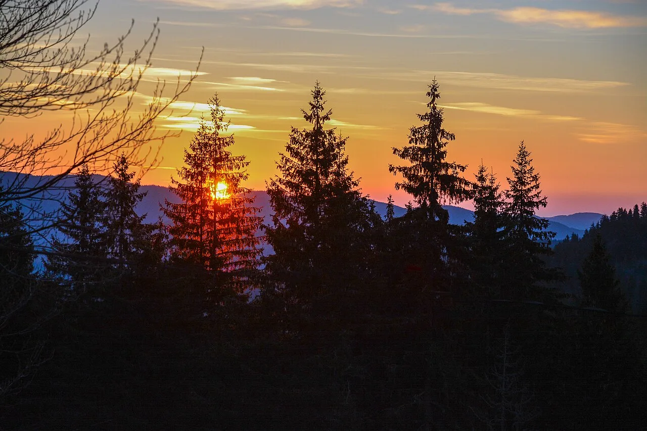 Sunset behind spruce trees and Rhodope ridges above Pamporovo