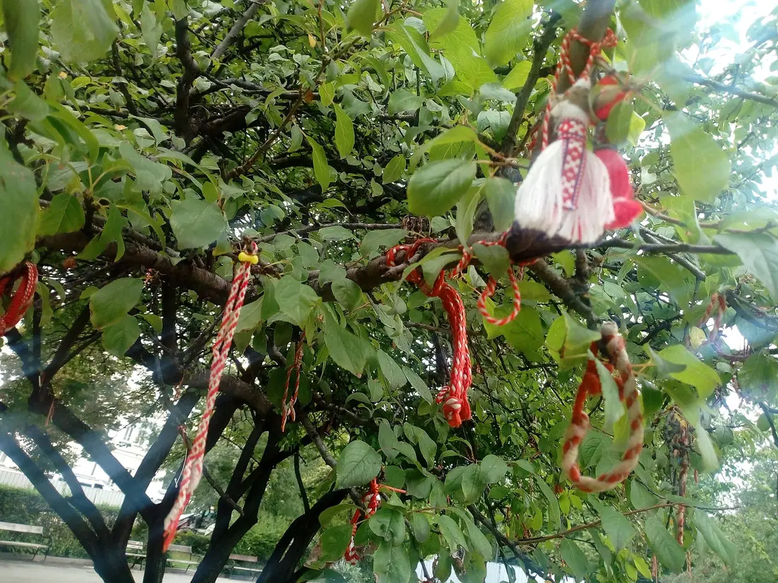 A red and white martenitsa bracelet, the traditional Bulgarian Baba Marta ornament