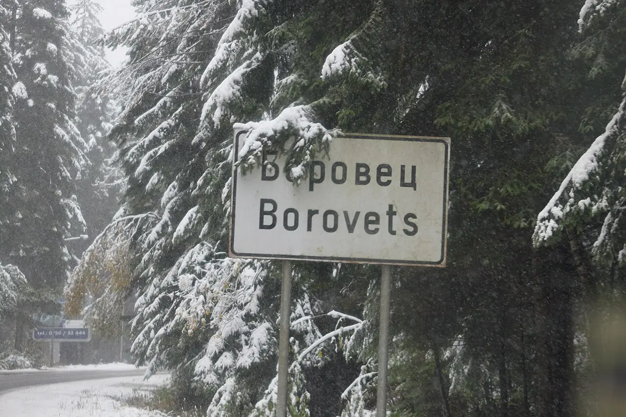 Borovets resort buildings among pines outside peak winter