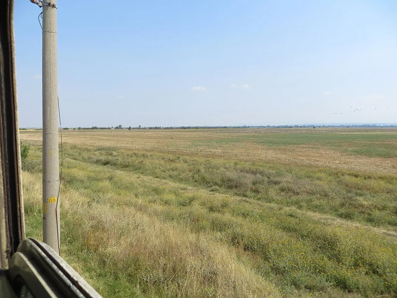 A Bulgarian State Railways train on a rural line crossing the countryside