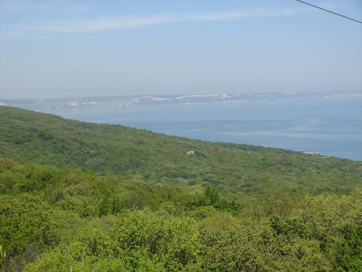 View over the forested hills of Golden Sands Nature Park down to the blue Black Sea, dense green oak woodland in the foreground and distant chalk cliffs across the bay