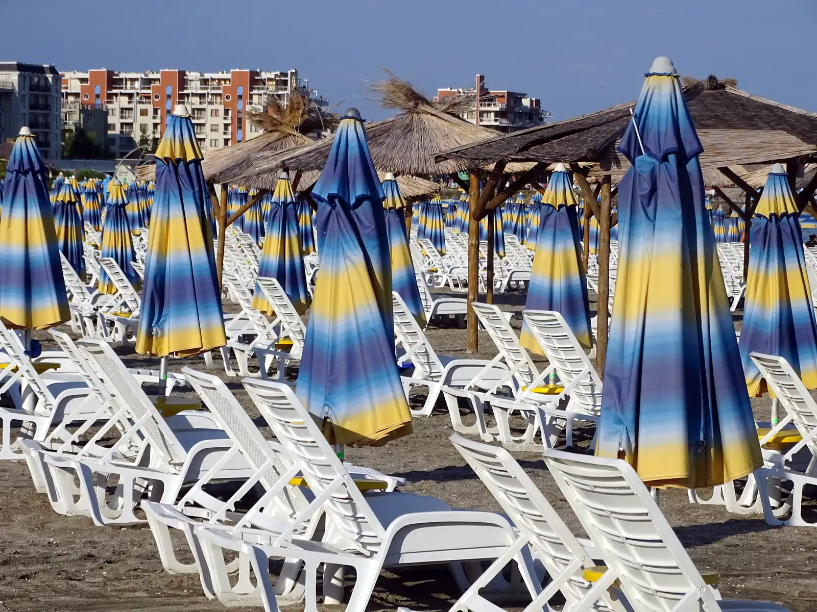 Rows of blue and yellow beach parasols and white sunbeds on the sand at Sunny Beach, with resort apartment blocks behind