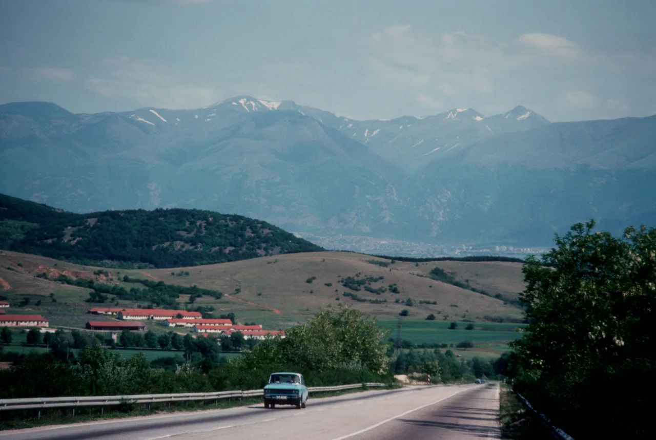 The Valley of Roses in Bulgaria: rows of pink Damask roses in a field with the Balkan mountains rising behind