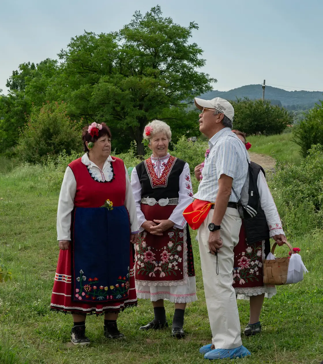 Bulgarian rose pickers in traditional dress harvesting Damask rose petals into baskets during the Rose Festival