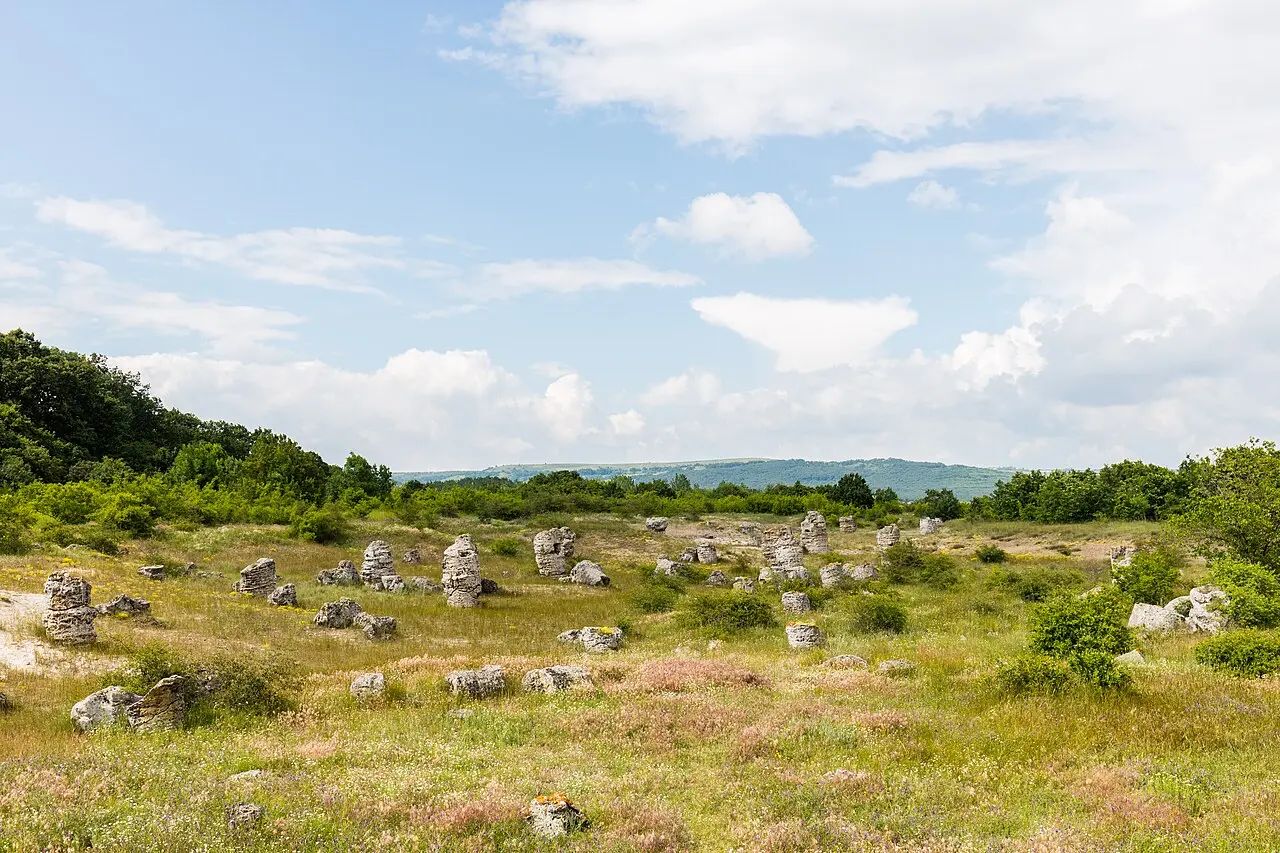 Tall pale limestone columns rising from sandy ground at Pobiti Kamani near Varna