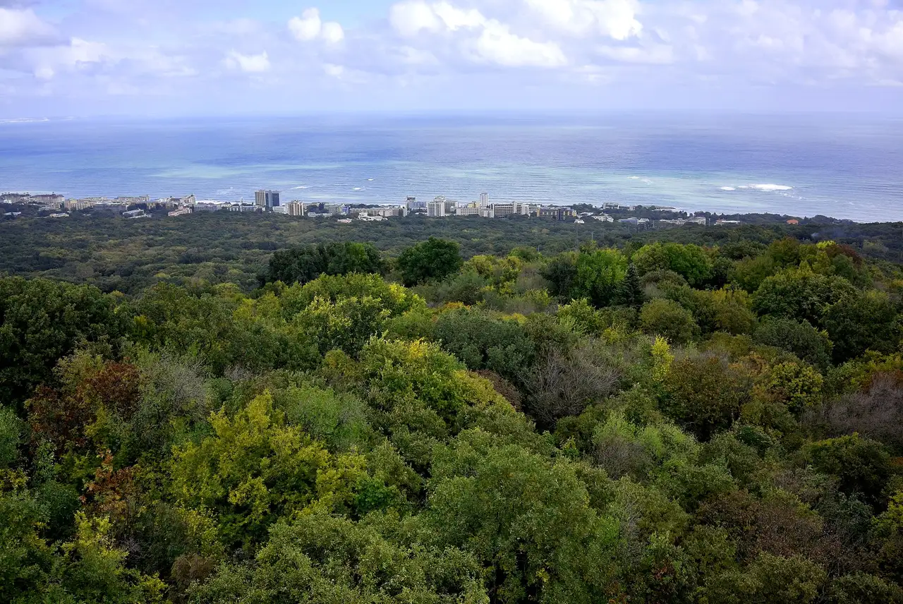 A view over dense green forest from the hills of Golden Sands Nature Park down to the resort towers and the Black Sea