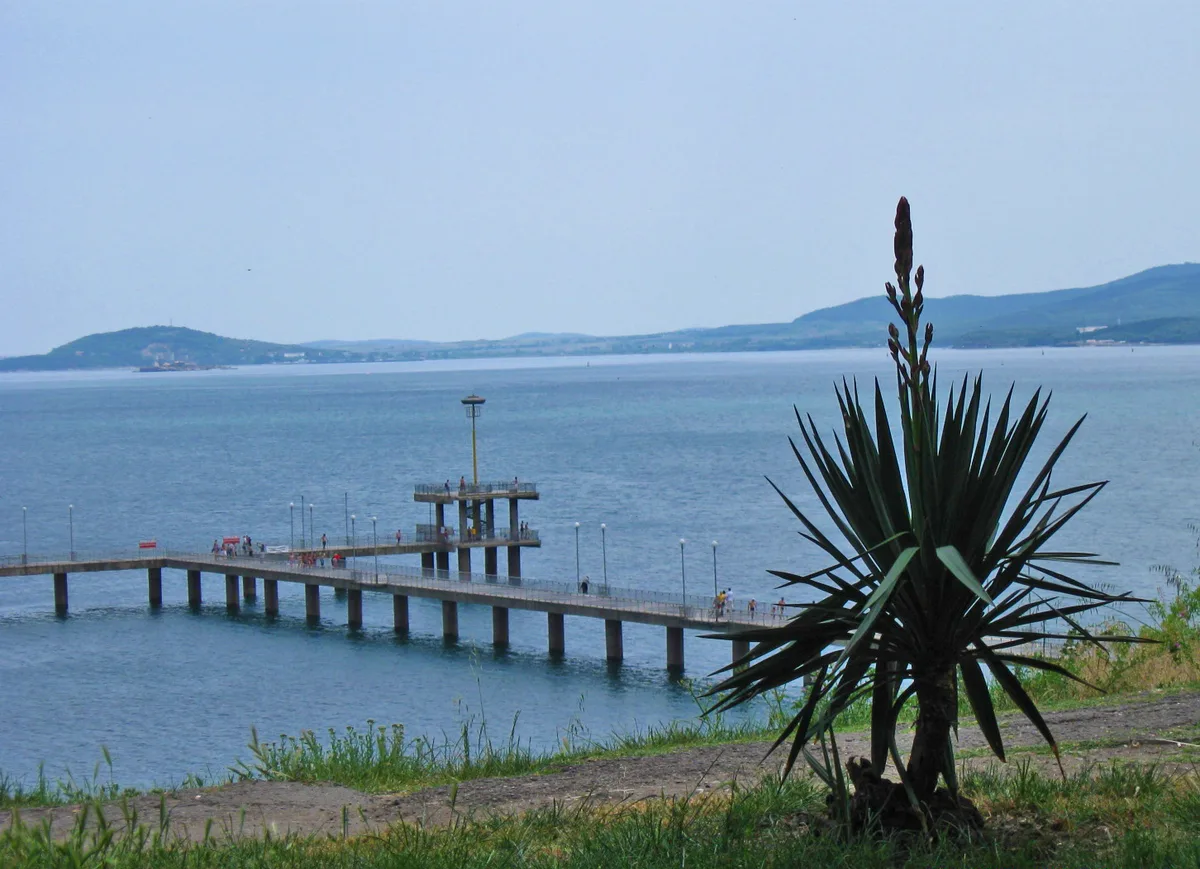 The concrete pier of the Burgas bridge reaching out into a calm grey-blue bay, seen from the grassy slope of the Sea Garden with a yucca in the foreground
