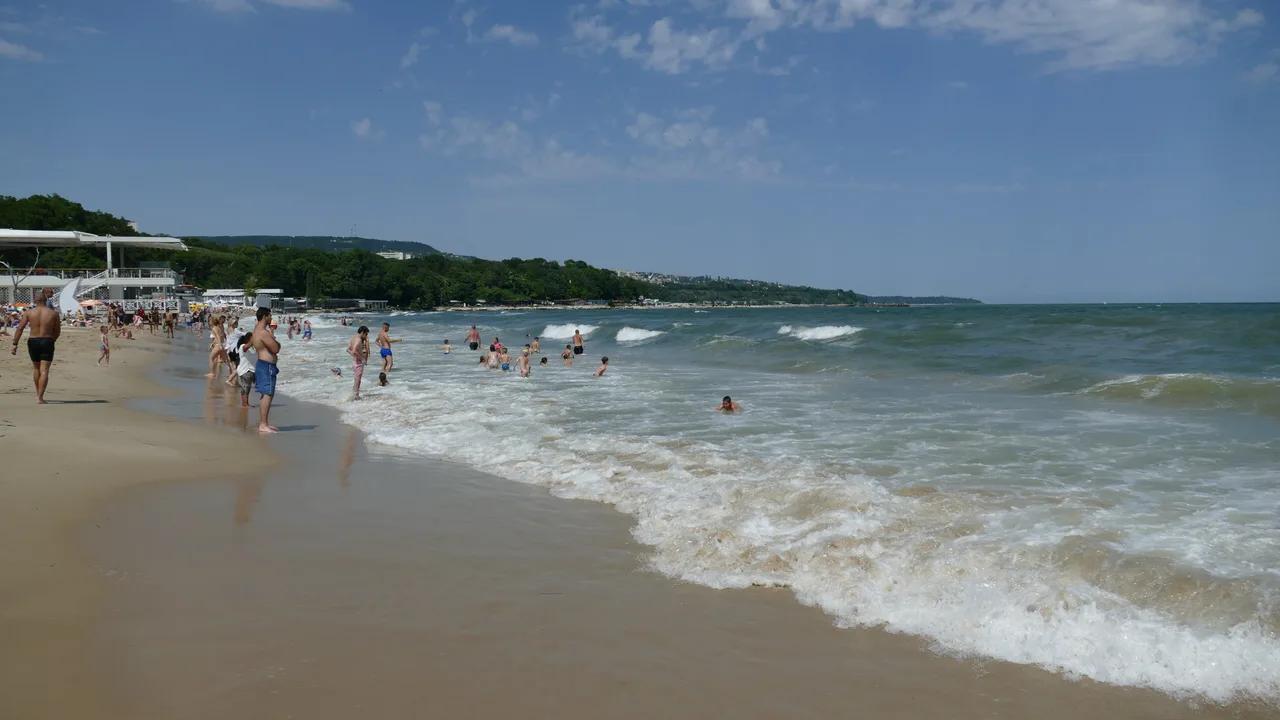 Varna city beach in high summer, swimmers in the surf and sunbathers along the sand, with the green wooded coast of the Sea Garden stretching north