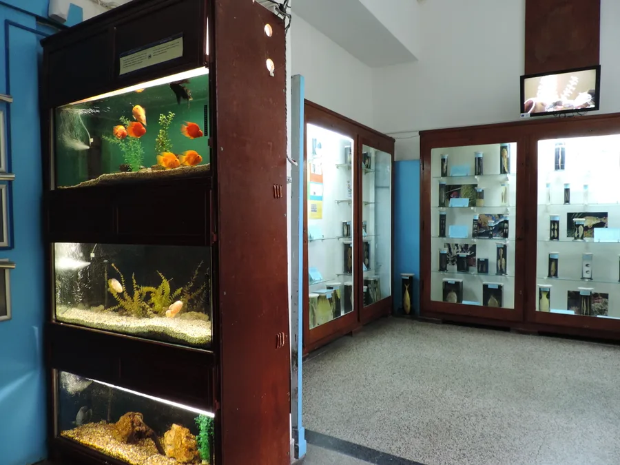 Inside the Varna Aquarium in the Sea Garden: wooden-framed tanks with fish and display cases along the wall