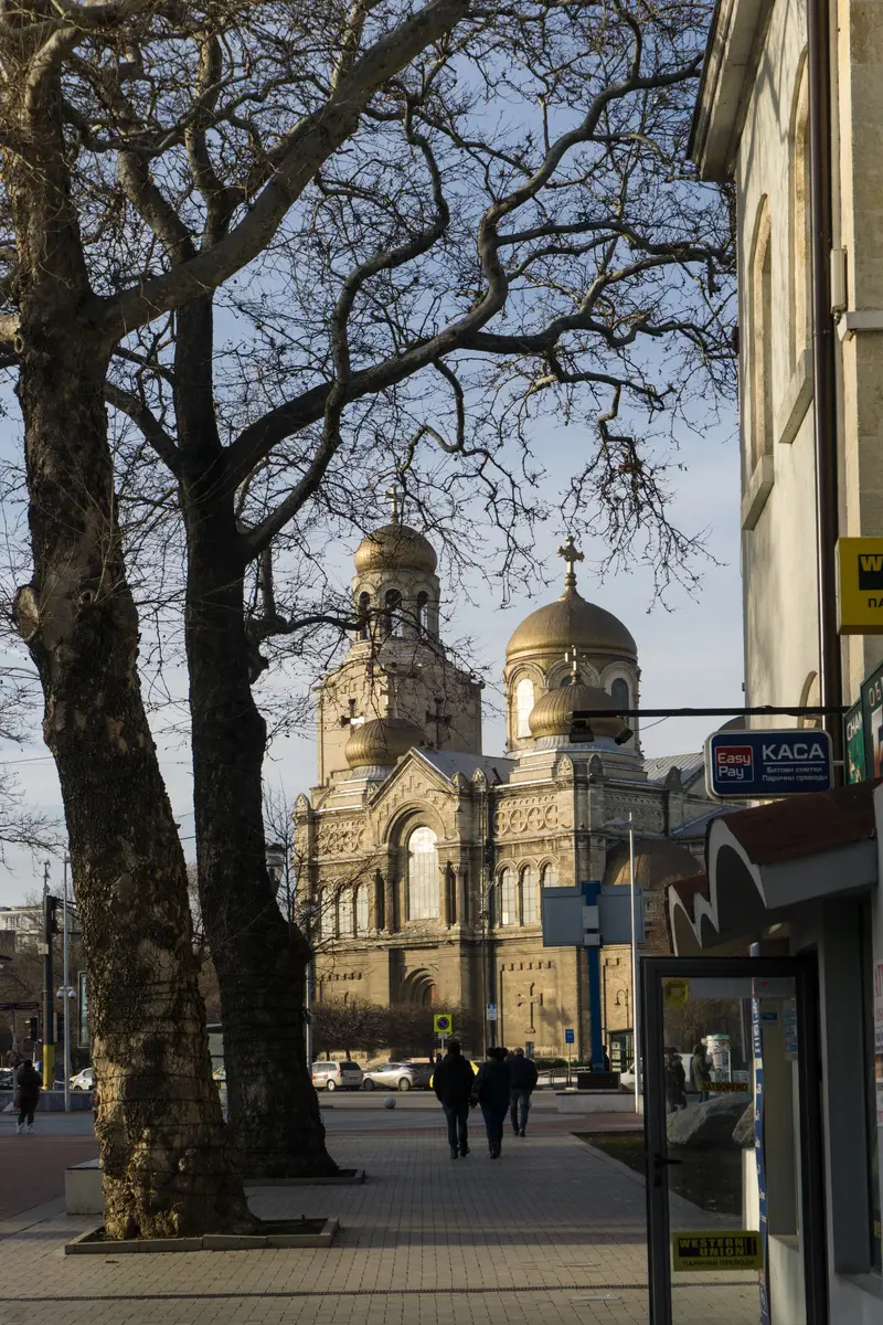 The golden onion domes of the Dormition Cathedral in Varna seen down a city street through the bare branches of a plane tree