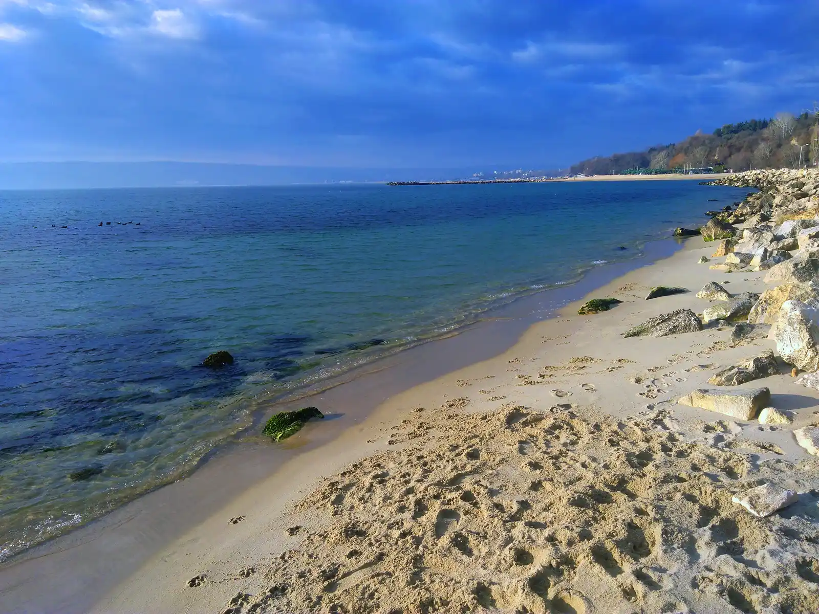 The turquoise Black Sea meeting the sandy shore below the Sea Garden in Varna, with a rocky breakwater and the coastline stretching away
