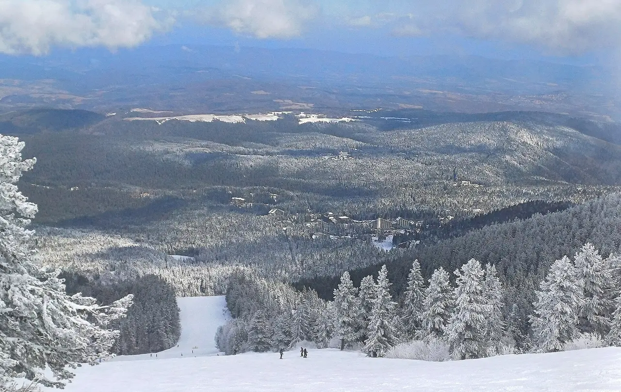 A wide view of the Borovets ski resort and the forested Rila mountains behind it