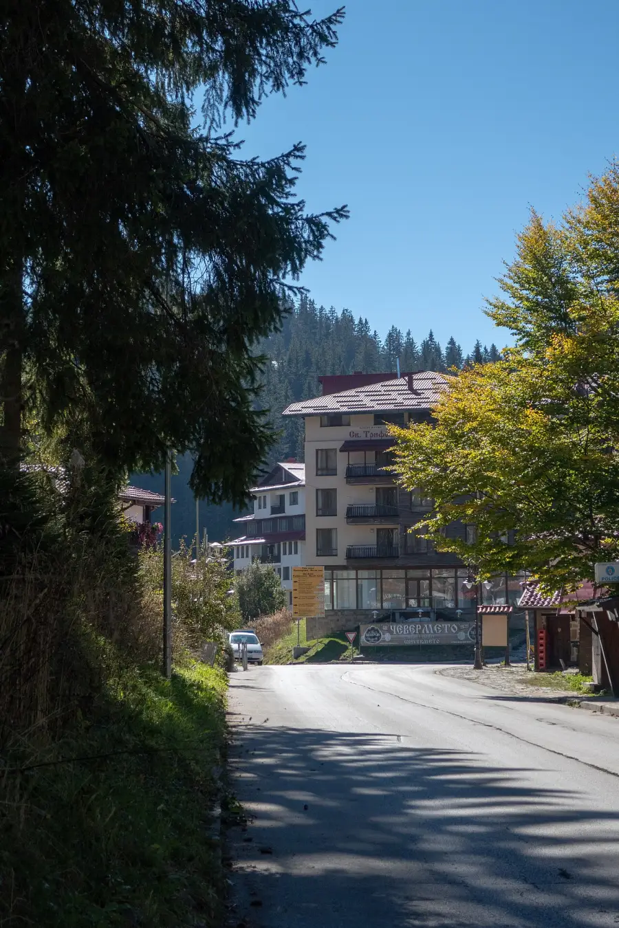 A road through Pamporovo resort lined with pine trees leading to a large multi-storey apartment hotel building