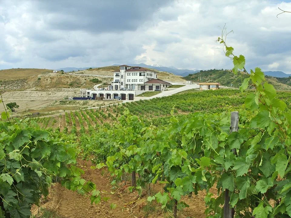 The Villa Melnik winery building standing above rows of green vines on a hillside near Harsovo
