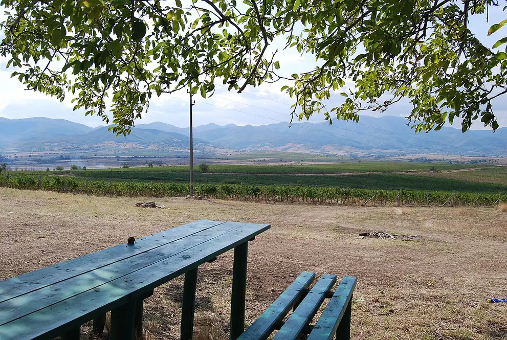 Vineyards and a rustic tasting table looking out over the hills of south-west Bulgaria near Melnik